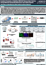 Scalable Production of Modified HEK293T Extracellular Vesicles Using Adherent Packed Bed Bioreactor Cell Culture System